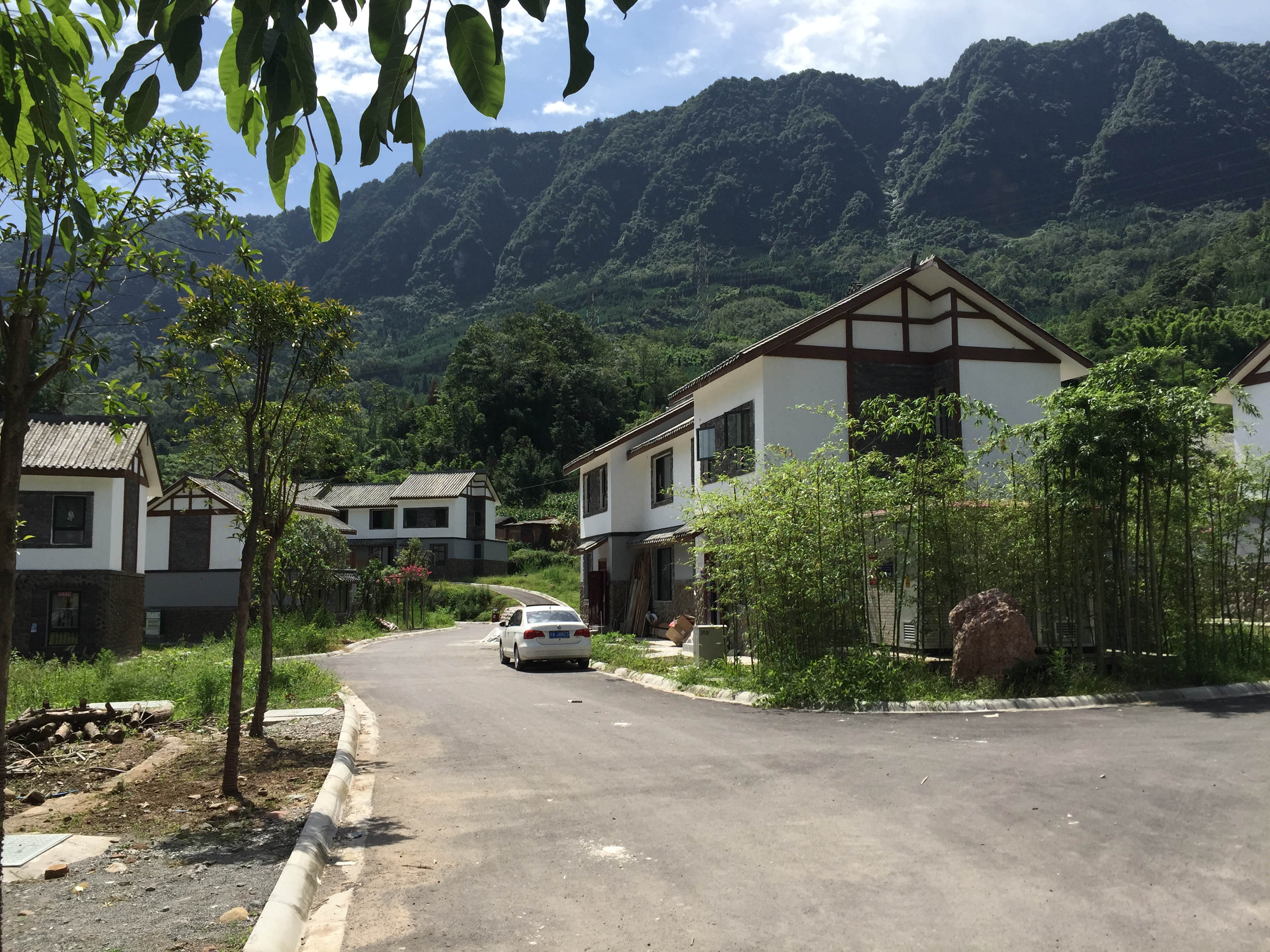 靖口村龙虎.JPG