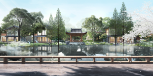 风景