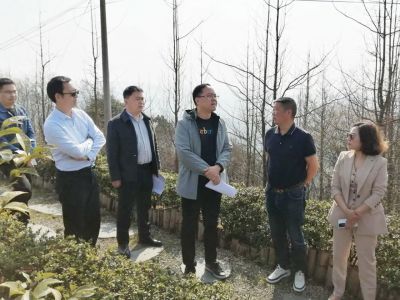 w66利来乡村发展集团与都江堰市政府召开项目推进交流会